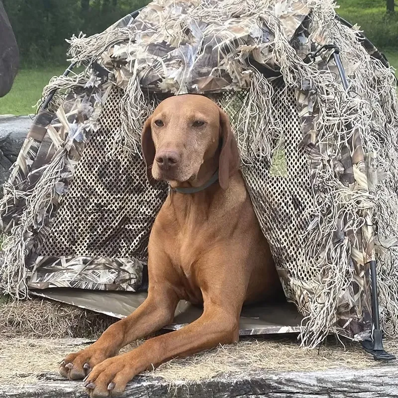 Outdoor Hunting Blinds - 軽量迷彩防水屋外ハンティングドッグブラインドテント（マグネット式ドア付き） - ダック・グースハンティング用レイアウトハンティングブラインド