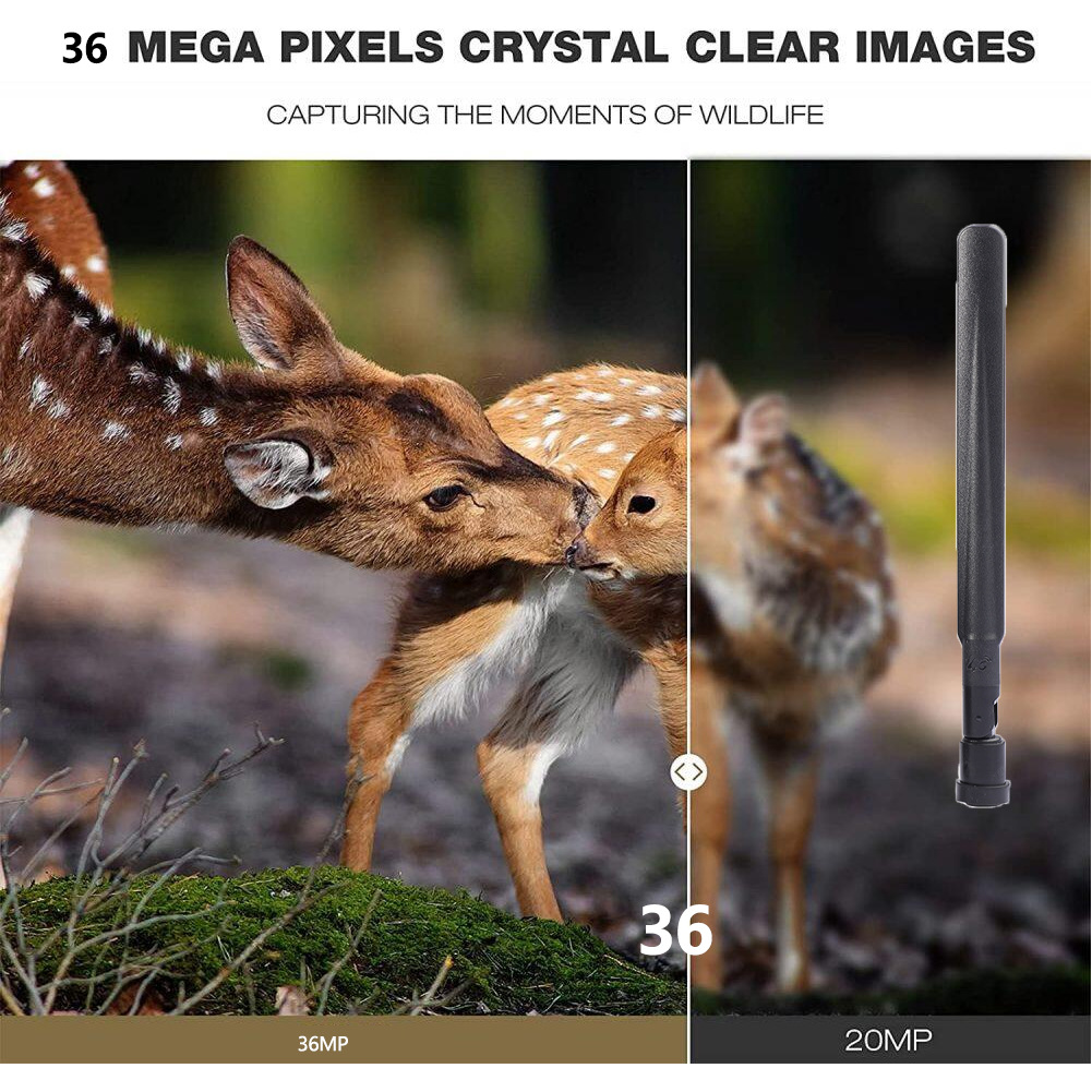 屋外ハンティングカメラ,4k画像,高品質の4Gサポート,ビデ - Outdoor Hunting Pictures のレビューと価格